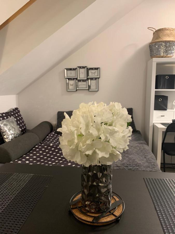Apartment Mansarda Μαριμπόρ Εξωτερικό φωτογραφία