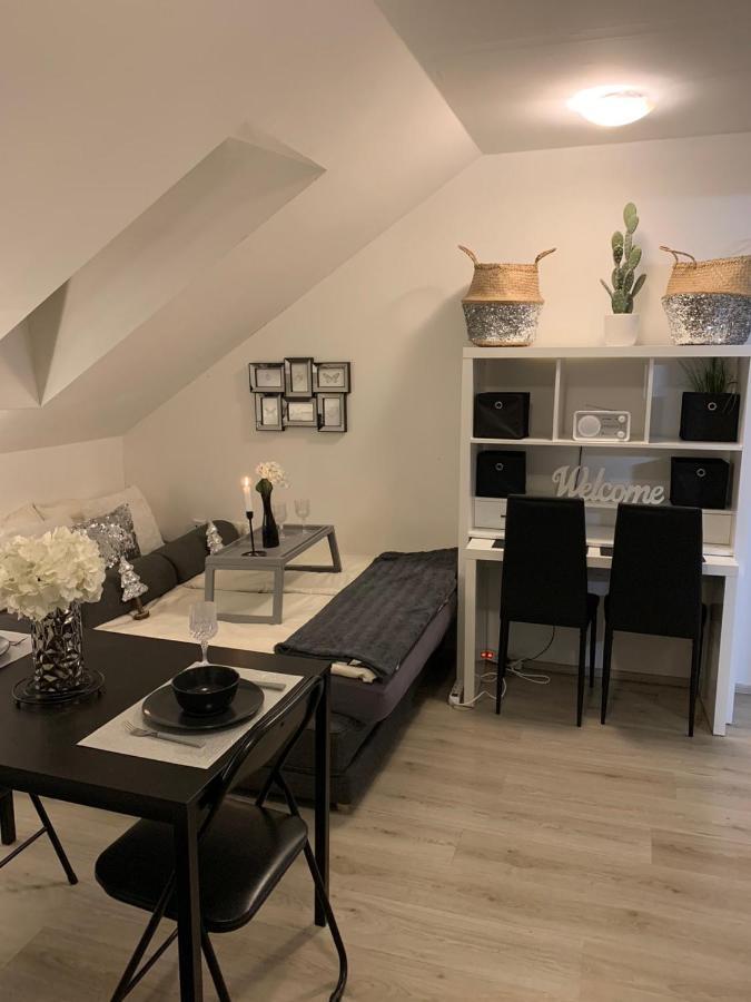 Apartment Mansarda Μαριμπόρ Εξωτερικό φωτογραφία